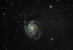 M-101