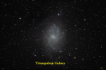 M33