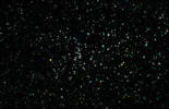 M-48