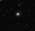 M-49