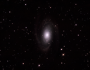 M-81