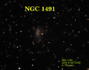 NGC-1491