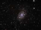 NGC-2403