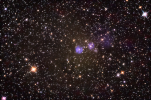 IC2162