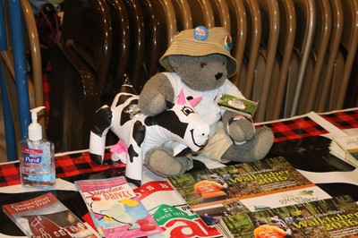 Cabot Cheese Cow and Cody