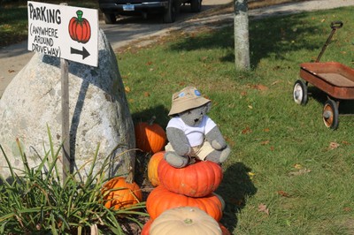 Cody Sits On Pumpkins