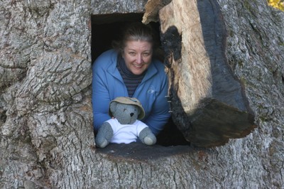Cody In Tree Window
