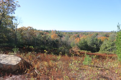 View at the top of the hill