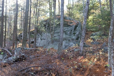 A Giant Erratic